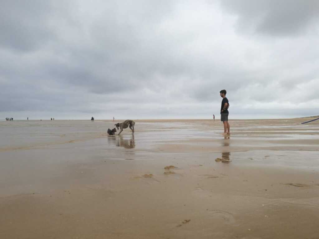 playas para perros en landas